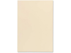 Blake Business A4 297 x 210 mm 120 gsm Paper (61676) Cream Wove - Pack of 50